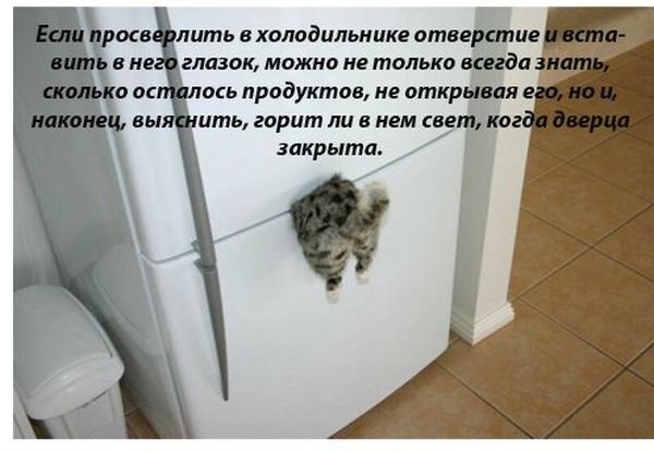Прорвемся картинки смешные с надписями