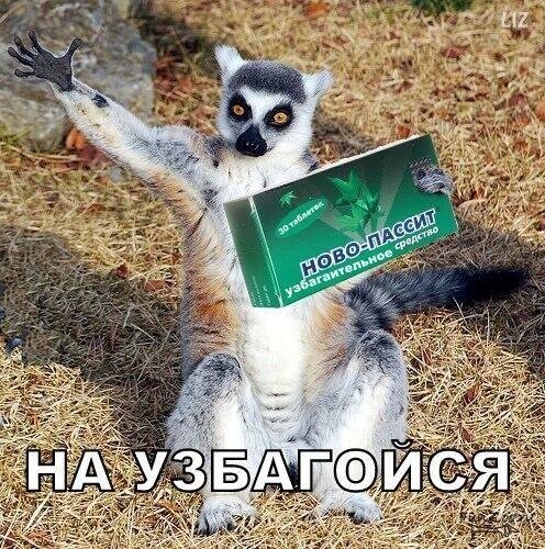 Узбагойся прикол