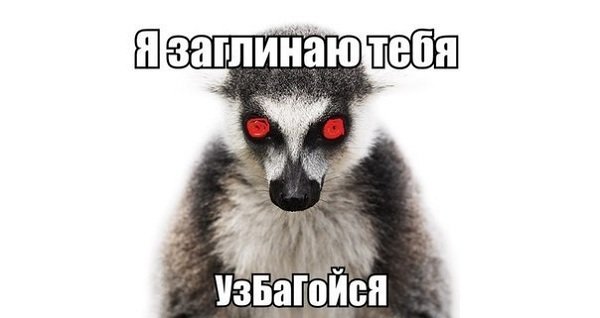 Смешные картинки узбагойся