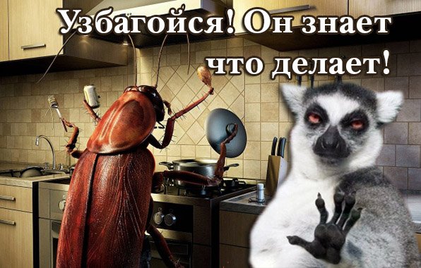 Узбагойся прикол