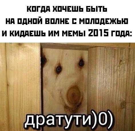 Дратути Мем