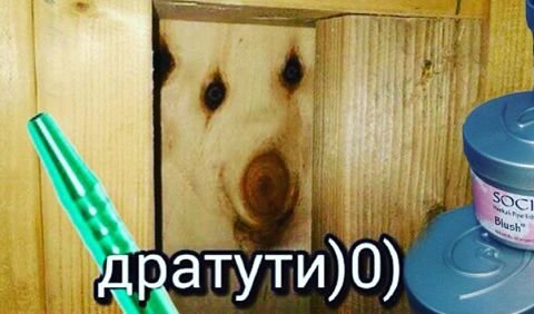 Спрей от дратути
