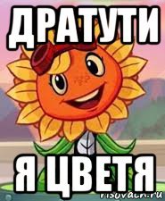 Открытки дратути прикольные