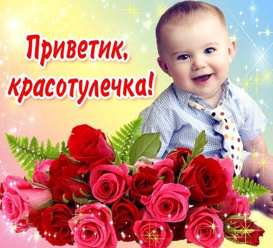 Кошка в парике
