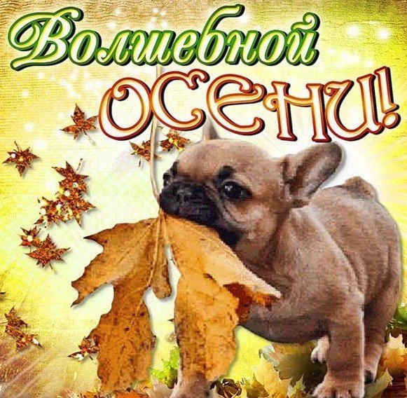 Открытки с началом осени