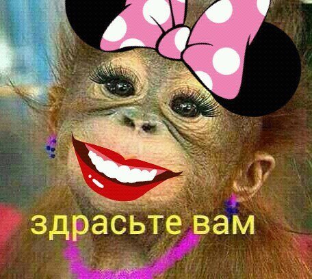 Всем здрасте