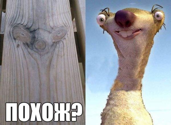 СИД прикол