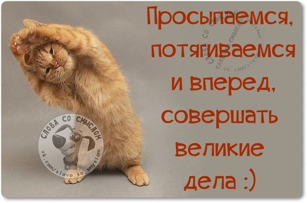 Пора вставать прикольные