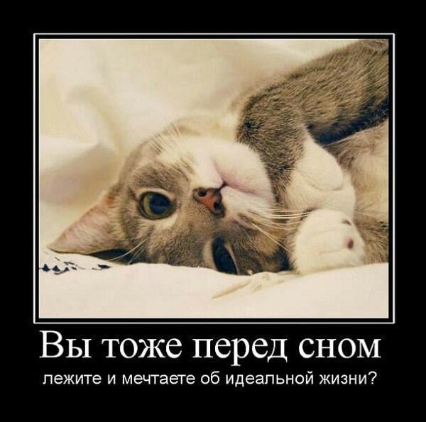 Приколы про сон