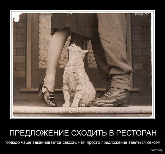 Прикольные жизненные картинки