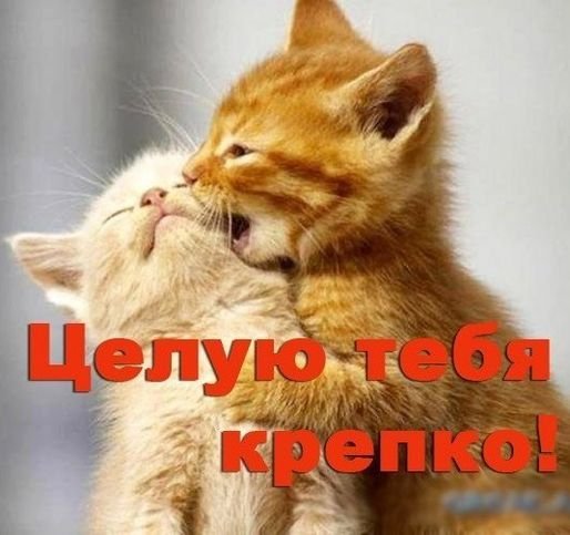Целую обнимаю