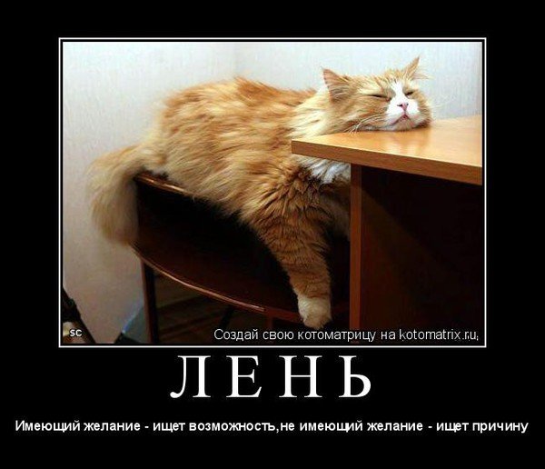 Картинки про лень прикольные