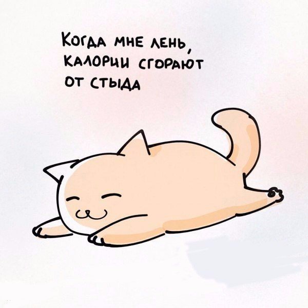 Приколы про лень
