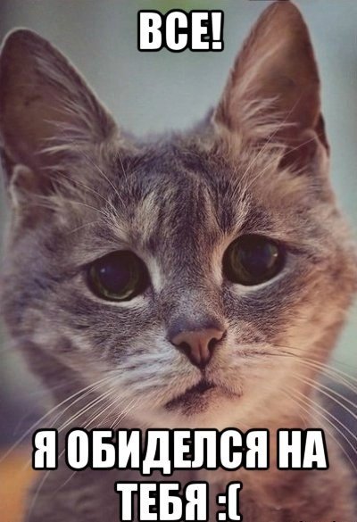 Грустный котик Мем