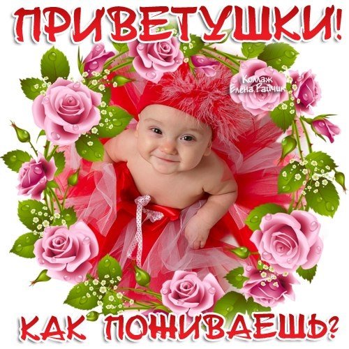 Прикольные анимационные открытки