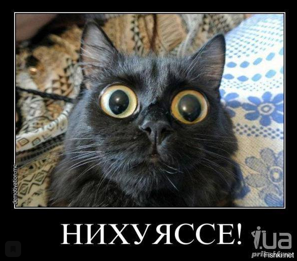 Открытка я в шоке