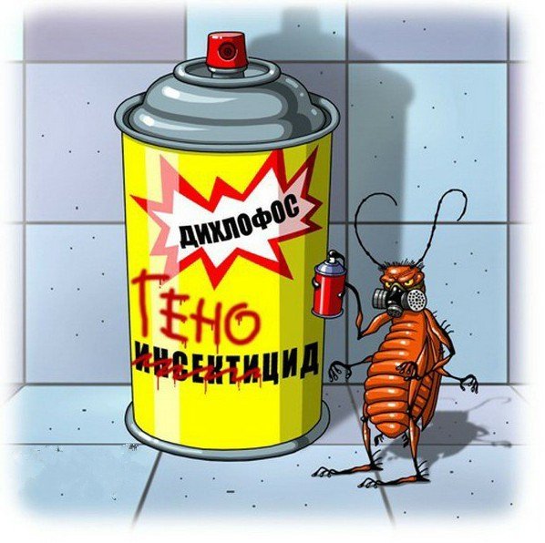 Таракан прикол