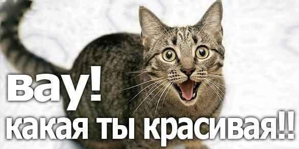 Вау смешная картинка