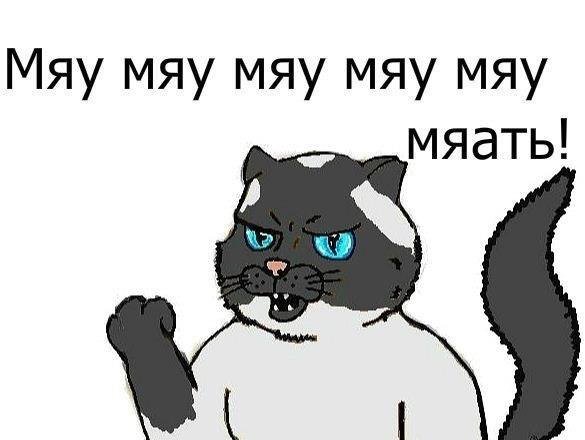 Мяу мяу мяу мяу мяу