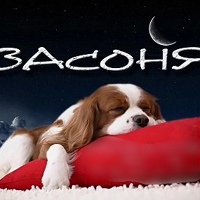 Спишь Засоня