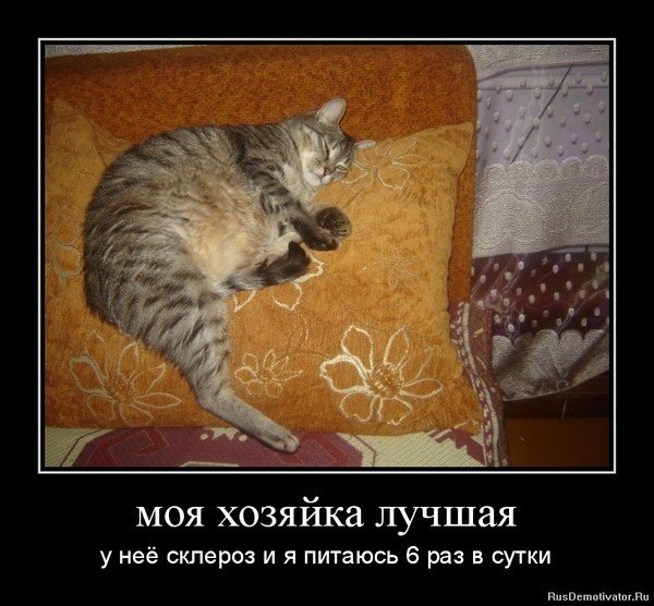 Склероз юмор
