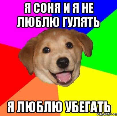 Соня тупая