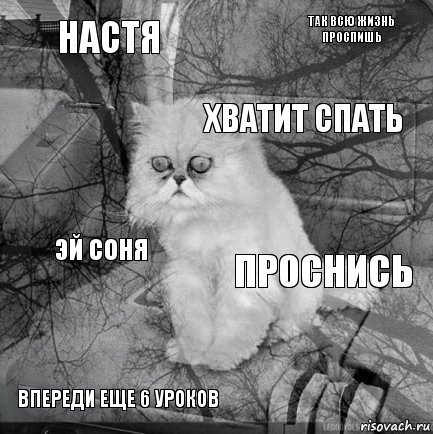 Хватит спать