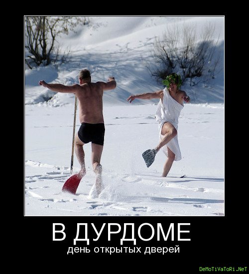 Демотиваторы дурдом