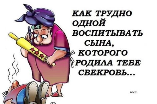 Приколы про свекровь