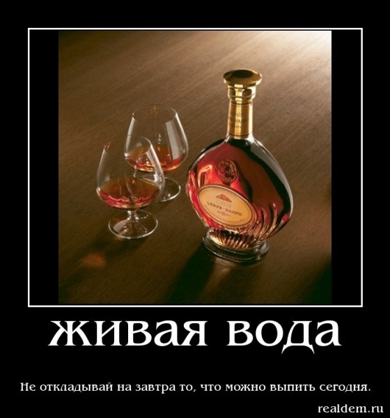 Коньяк юмор