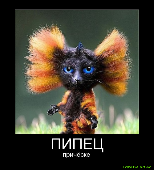 Пипец прикол