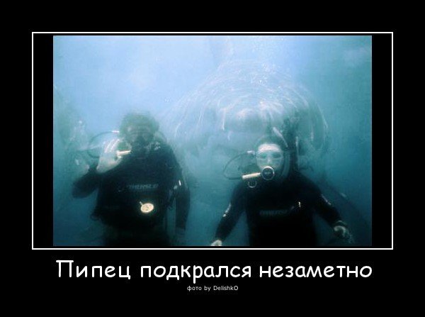 Пипец пришел