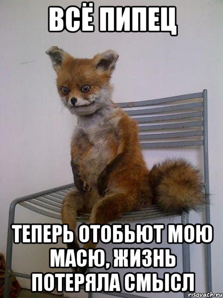 Ну ты пипец