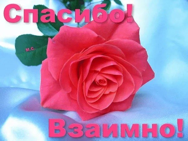 Спасибо взаимно