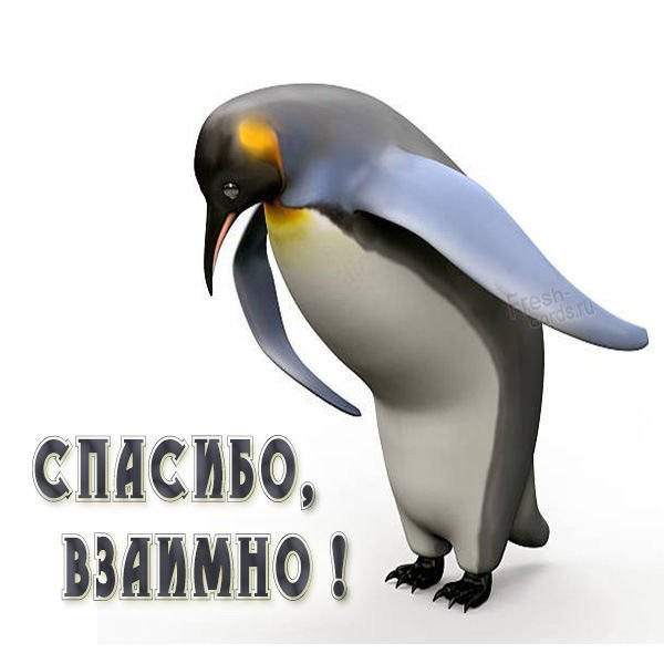 Открытка взаимно