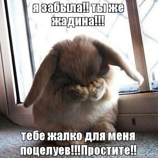 Я жадина говядина