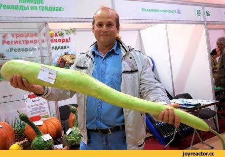 Приколы про кабачки