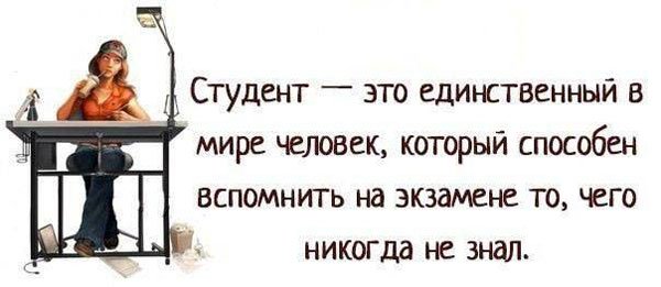 Цитаты про студентов
