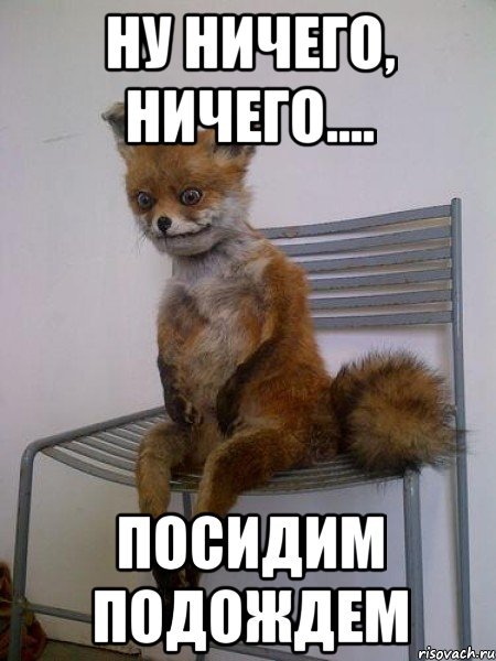 Жду прикол
