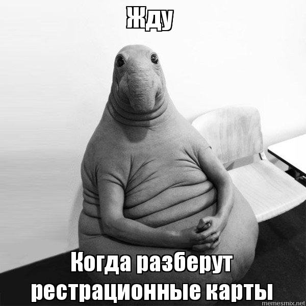 Не дождётесь картинки