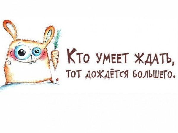 Демотиваторы позитивные смешные