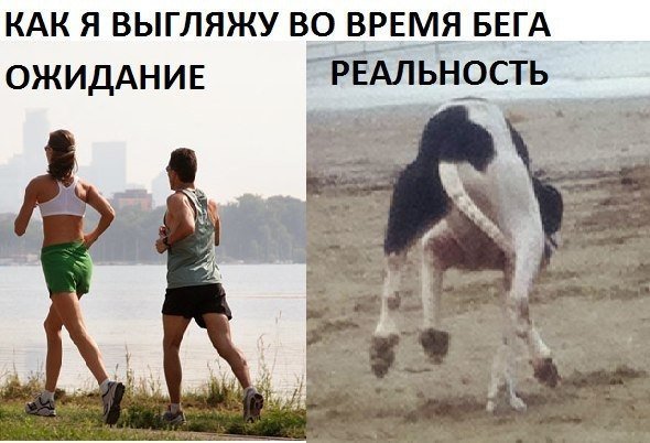 Пробежка ожидание реальность