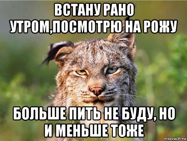 Больше пить не буду