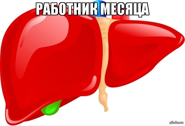 Веселая печень