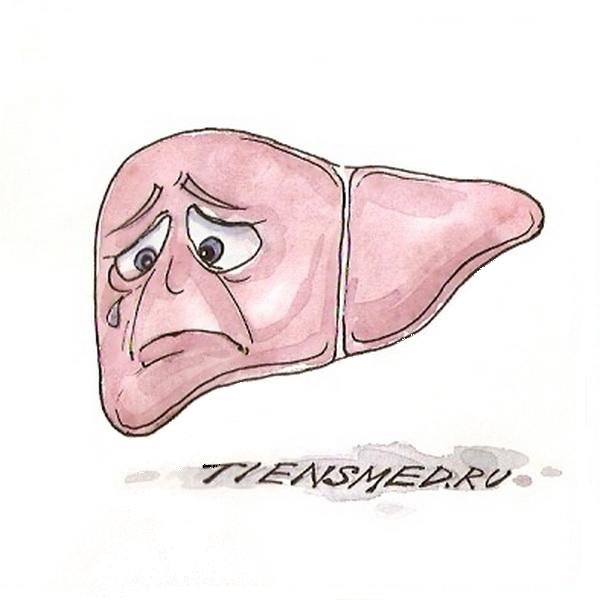 Печень плачет