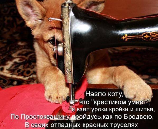 Работа швеи рисунок