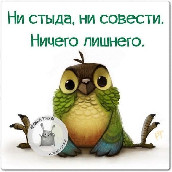 Цитаты про стыд