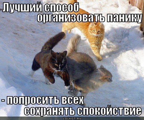 Паникер картинки смешные