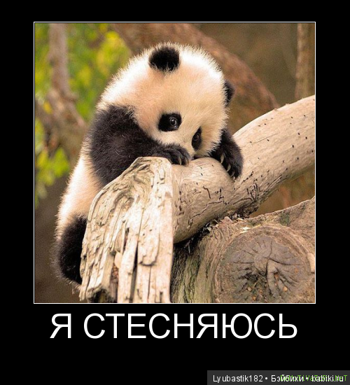 Я стесняюсь