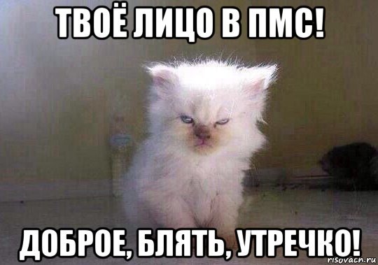 ПМС приколы